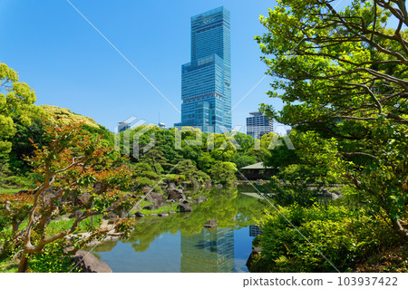 阿倍野Harukas和倒映在水面上的風景，嫩葉和新綠 103937422