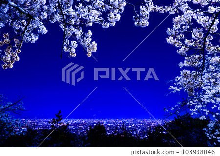 4 月 2 日,日本寶塚中山櫻台公園,夜晚的櫻花和大阪市 4 月 2 日,日本寶塚中山櫻台公園,夜晚的櫻花和大阪市 103938046