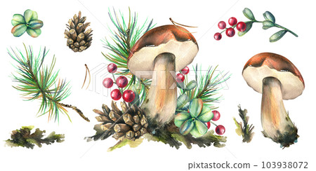 A set of forest mushrooms, boletus and blueberries, lingonberries, twigs, cones, leaves. Watercolor illustration, hand drawn. Isolated on a white background. A set of forest mushrooms, boletus and blueberries, lingonberries, twigs, cones, leaves. Watercolor illustration, hand drawn. Isolated on a white background. 103938072