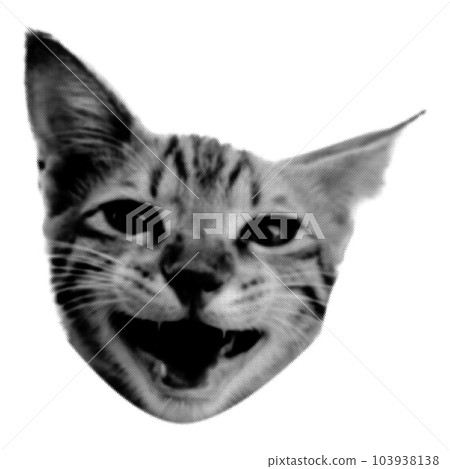 Screaming cat collage. Design element in trendy dotted pop art style. Retro halftone effect. Vector illustration with vintage grunge punk cutout shape. 103938138