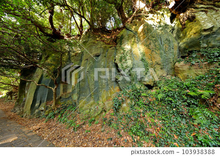 It is a beautiful scenery of Andeok Valley, a famous tourist attraction in Jeju Island. It is a beautiful scenery of Andeok Valley, a famous tourist attraction in Jeju Island. 103938388