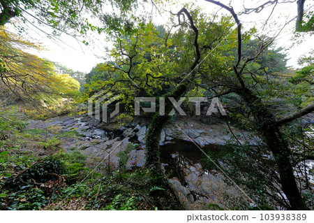 It is a beautiful scenery of Andeok Valley, a famous tourist attraction in Jeju Island. It is a beautiful scenery of Andeok Valley, a famous tourist attraction in Jeju Island. 103938389