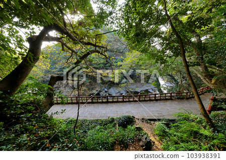 It is a beautiful scenery of Andeok Valley, a famous tourist attraction in Jeju Island. It is a beautiful scenery of Andeok Valley, a famous tourist attraction in Jeju Island. 103938391