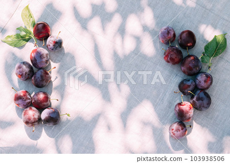 Fresh plum, fruits of ripe organic fruits on the kitchen table, top view. Seasonal harvest Fresh plum, fruits of ripe organic fruits on the kitchen table, top view. Seasonal harvest 103938506