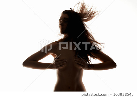 female silhouette. Nude body woman with flying Hair female silhouette. Nude body woman with flying Hair 103938543