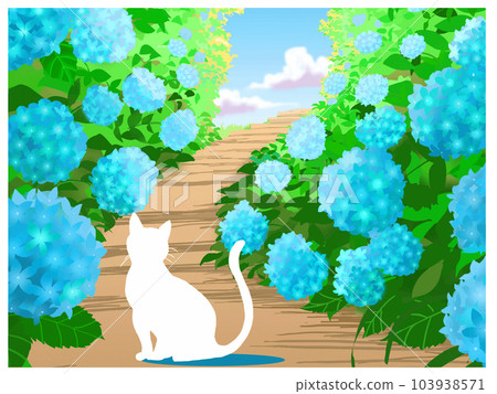 white cat and hydrangea white cat and hydrangea 103938571