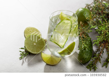 Cocktail Gin-tonic with ice, lime, cucumber, and juniper branches. Cocktail Gin-tonic with ice, lime, cucumber, and juniper branches. 103938582