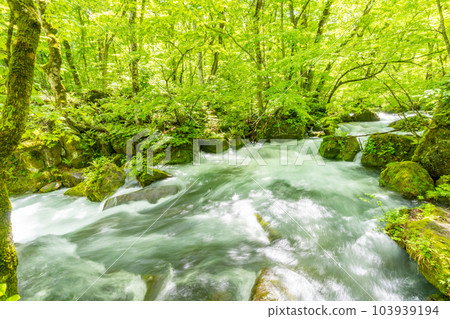 早春的奧入瀨溪谷阿修羅流 早春的奧入瀨溪谷阿修羅流 103939194