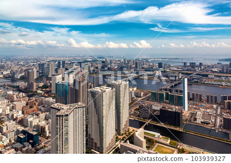 Aerial view of Odaiba Harbor in Tokyo, Japan 103939327