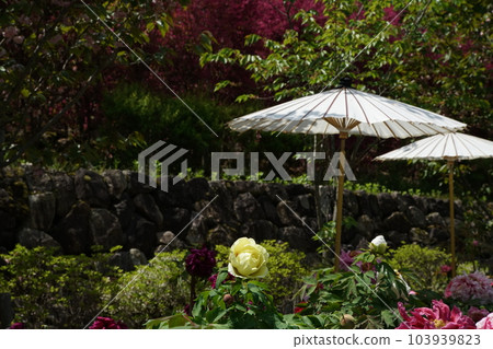 Botan Botan Hasedera, Nara Prefecture 103939823