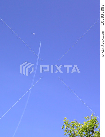 大吉大利：起來！ 103939888