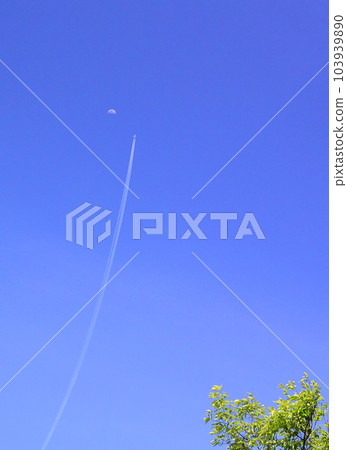 大吉大利：起來！ 103939890