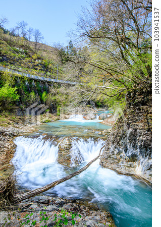 40,000 Potholes in Spring, Agatsuma District, Gunma Prefecture 103941537