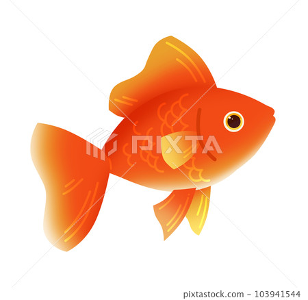 金魚插圖素材 103941544