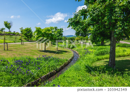 Asahikawa railway station and Kitasaito Garden in Asahikawa, Hokkaido, Japan 103942349