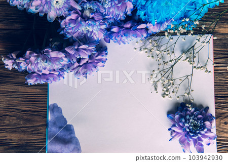 Violet, blue and pink chrysanthemum. A bouquet of chrysanthemums on wooden background with copy space. Chrysanthemum Flower Close up. Violet, blue and pink chrysanthemum. A bouquet of chrysanthemums on wooden background with copy space. Chrysanthemum Flower Close up. 103942930