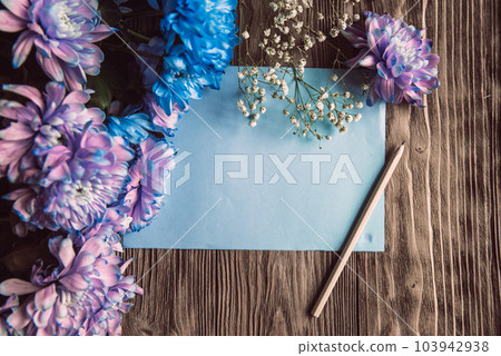 Violet, blue and pink chrysanthemum. A bouquet of chrysanthemums on wooden background with copy space. Chrysanthemum Flower Close up. Violet, blue and pink chrysanthemum. A bouquet of chrysanthemums on wooden background with copy space. Chrysanthemum Flower Close up. 103942938