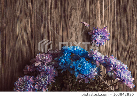 Violet, blue and pink chrysanthemum. A bouquet of chrysanthemums on wooden background with copy space. Chrysanthemum Flower Close up. Violet, blue and pink chrysanthemum. A bouquet of chrysanthemums on wooden background with copy space. Chrysanthemum Flower Close up. 103942950