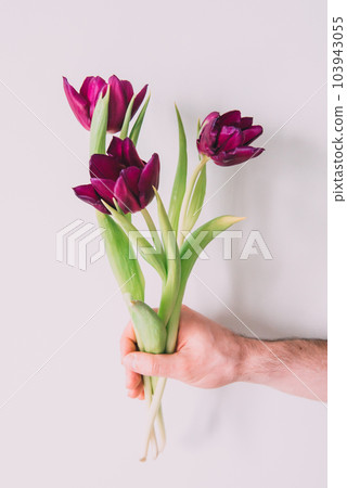Mockup. White calla and violet tulip Flowers on a white wooden background. Flat lay, spring and summer background with copy space Mockup. White calla and violet tulip Flowers on a white wooden background. Flat lay, spring and summer background with copy space 103943055