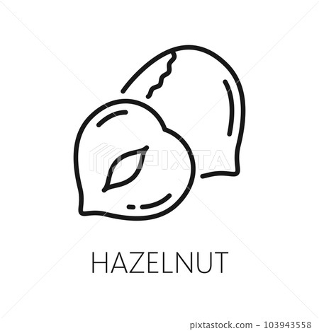 Hazelnut in hard shell isolated outline icon. Vector hazel-nut, vegetarian food dessert. Cobnut or filbert nut, unpeeled healthy snack, superfood Hazelnut in hard shell isolated outline icon. Vector hazel-nut, vegetarian food dessert. Cobnut or filbert nut, unpeeled healthy snack, superfood 103943558