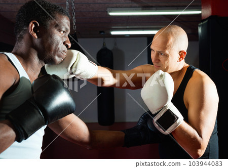 Sparring two boxers in the gym. Battle of two boxers 103944083