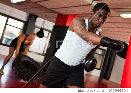 Training of muscular boxers in the gym Training of muscular boxers in the gym 103944204