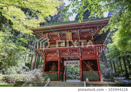 茨城縣大岩神社的塔門 103944226