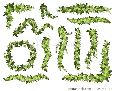 Cartoon green ivy. Creeper tree foliage border, garden decoration divider and hanging vine plant branches vector set Cartoon green ivy. Creeper tree foliage border, garden decoration divider and hanging vine plant branches vector set 103944948