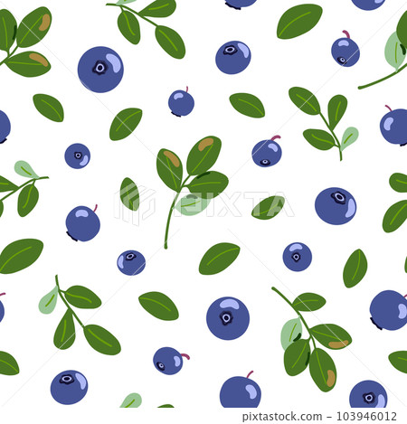 Bilberry vector seamless pattern. Northern blue forest berries and leaves background. Hand drawn cartoon summer fruits isolated on white. Healthy food with vitamin C for packaging, decoration 103946012