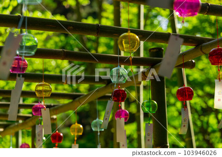Yanaizu Kokuzoson wind chime summer outfit Yanaizu Kokuzoson wind chime summer outfit 103946026