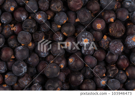 Dried black currant 103946473
