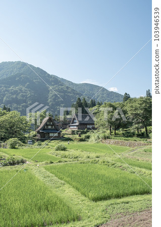 Gokayama / Ainokura Gassho-zukuri Village (Summer) Gokayama / Ainokura Gassho-zukuri Village (Summer) 103946539