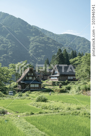 Gokayama / Ainokura Gassho-zukuri Village (Summer) Gokayama / Ainokura Gassho-zukuri Village (Summer) 103946541