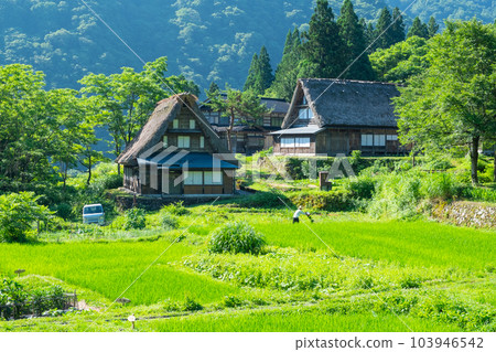 Gokayama / Ainokura Gassho-zukuri Village (Summer) Gokayama / Ainokura Gassho-zukuri Village (Summer) 103946542