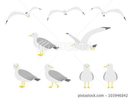 Seagull illustration set_2 103946842