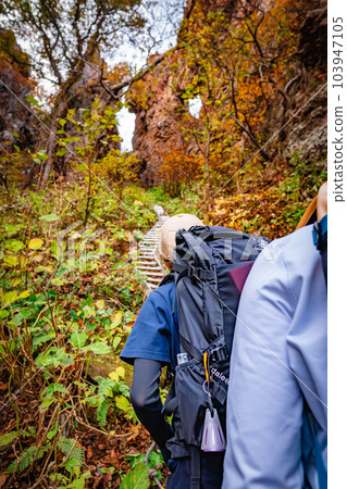 秋天徒步旅行 103947105