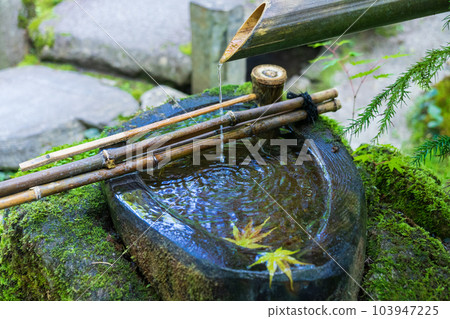 長津缽(長津缽) 長津缽(長津缽) 103947225