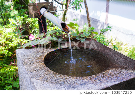 長津缽(長津缽) 長津缽(長津缽) 103947230