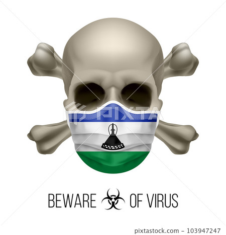 Human Skull 103947247