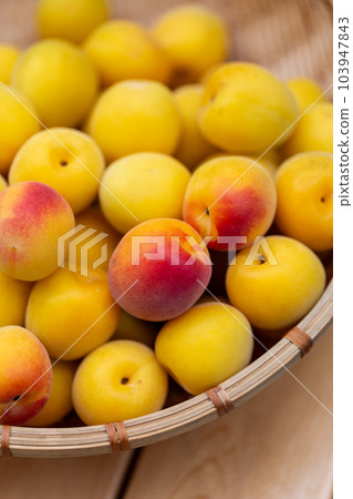 Minami Takane plum 103947843