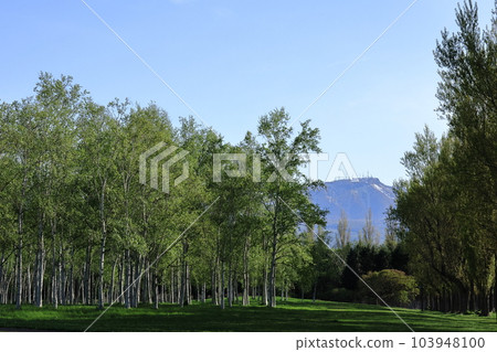 春天的前田森林公園和手稻山 春天的前田森林公園和手稻山 103948100