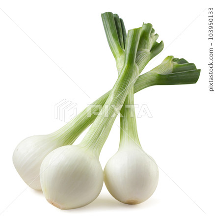Onion with green leaves close-up on a white background. Isolated Onion with green leaves close-up on a white background. Isolated 103950133