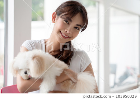 Young Asian smiling woman with her dog chihuahua at home. 103950329
