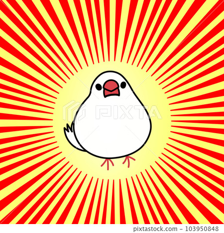 爪哇麻雀濃度線紅黃1:1 103950848