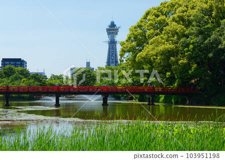 Looking towards Tsutenkaku from the aquatic garden, young leaves and fresh greenery Looking towards Tsutenkaku from the aquatic garden, young leaves and fresh greenery 103951198