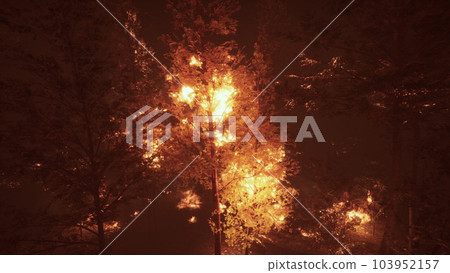 Intense flames from a massive forest fire Intense flames from a massive forest fire 103952157