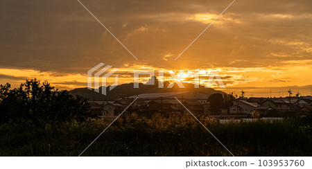 Morning view of Komakiyama Castle 103953760