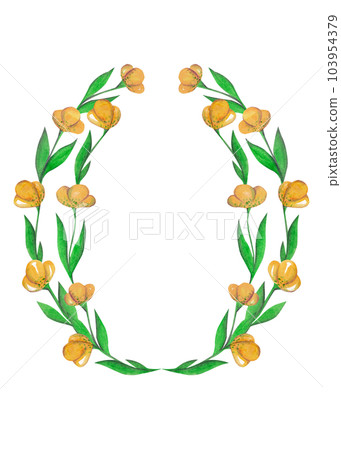 Yellow tulips. Watercolor illustration. Oval floral frame for your design 103954379