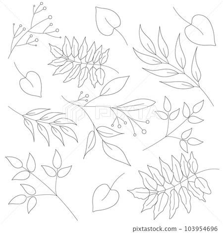 Leaves, autumn leaves in black and white are isolated on a white background. Leaves, autumn leaves in black and white are isolated on a white background. 103954696