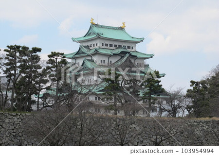 Nagoya Castle, Aichi, Japan Nagoya Castle, Aichi, Japan 103954994